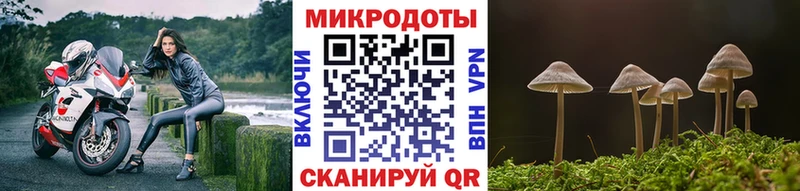 Купить где  Велиж  Псилоцибиновые грибы ЛСД 